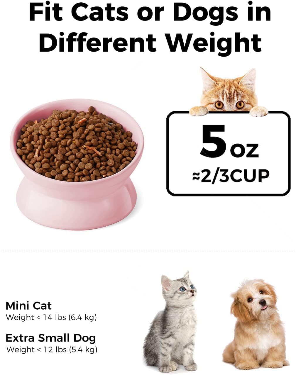 Cat food bowl with text about weight and portion sizes for cats and dogs at Pet Servo