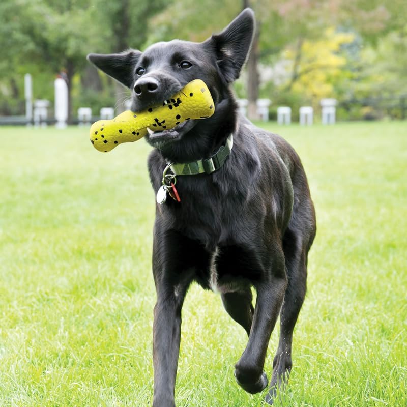 Black dog running on grass with a yellow toy in its mouth at Pet Servo