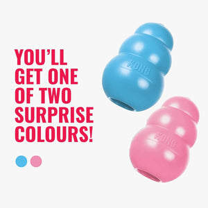 Two Kong dog toys in blue and pink floating on a light gray background, with bold pink text reading 'YOU'LL GET ONE OF TWO SURPRISE COLOURS!' and small blue and pink dots below at Pet Servo