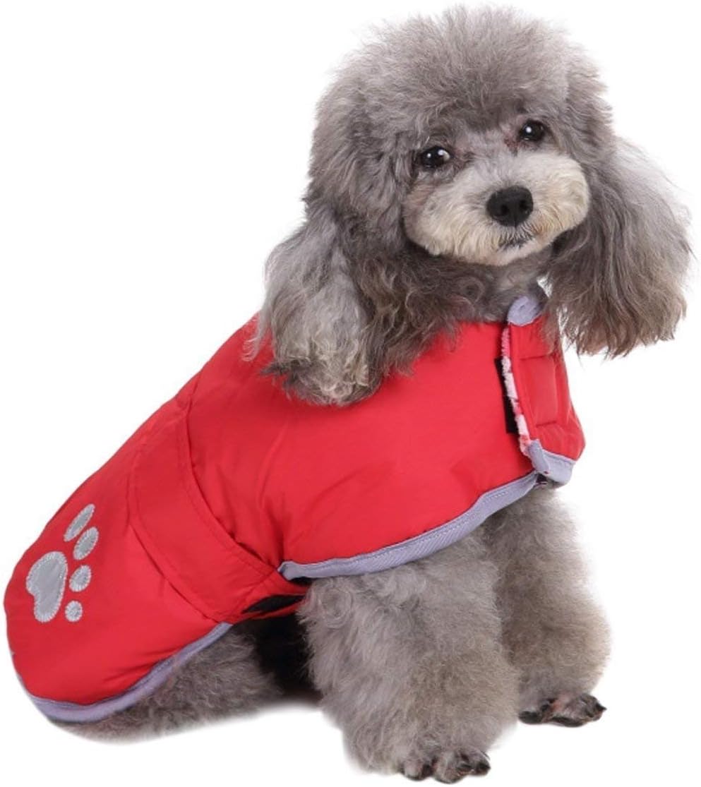 Small dog wearing a red coat with paw prints on a white background at Pet Servo