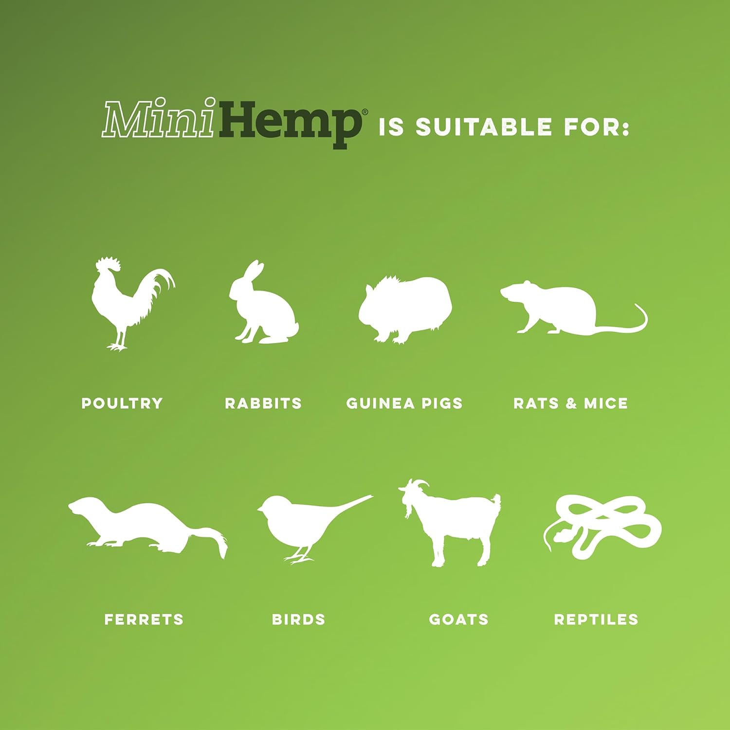 Green background with white animal silhouettes and 'Mini Hemp' text at Pet Servo