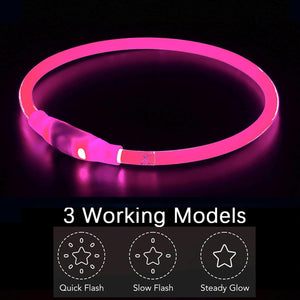 Dehlso - LED Dog Collar – Rechargeable Light-Up Safety Gear - Petservo