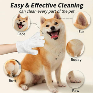 Dog being cleaned with a gloved hand, highlighting cleaning areas like face, ear, body, butt, and paw at Pet Servo