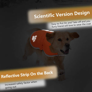 Dog wearing an orange coat with a reflective strip on a dark background at Pet Servo