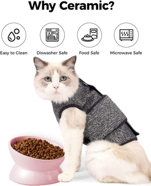 Cat wearing a gray sweater sitting next to a pink bowl with food, with icons and text explaining why ceramic is a good choice at Pet Servo