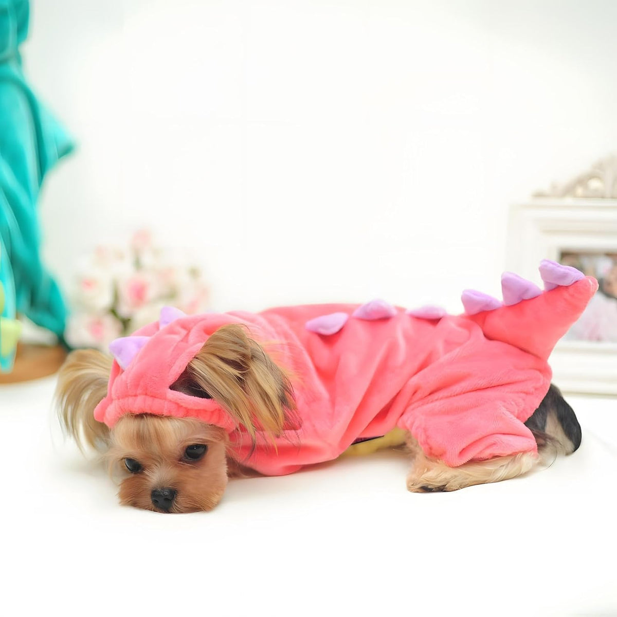 Dog wearing a pink dinosaur costume on a white background at Pet Servo