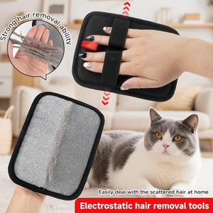 Electrostatic hair removal tool with a cat in the background at Pet Servo