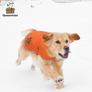 Dog wearing an orange coat with Queenmore branding in the snow at Pet Servo
