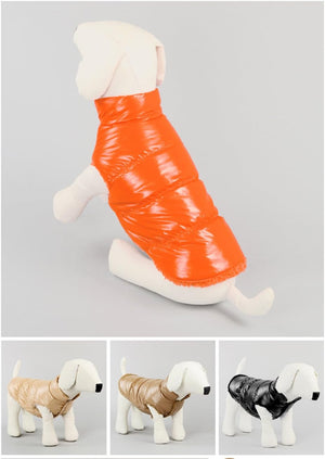Dog wearing a shiny orange puffer coat on a gray background at Pet Servo