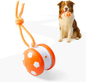 Dog toy resembling a soccer ball with a rope and a dog sitting next to it on a white background at Pet Servo