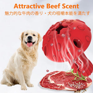Dog with a red textured toy and beef slices on a white background, emphasizing 'Attractive Beef Scent' at Pet Servo