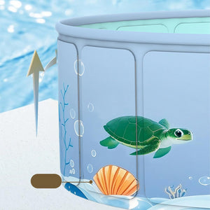 Toy turtle in a transparent box with water and shell decorations at Pet Servo