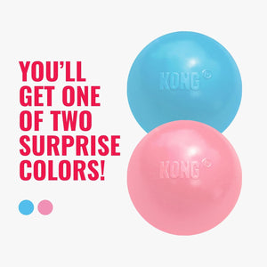 Two KONG dog toys, one light blue and one light pink, shown on a white background with promotional text reading 'YOU'LL GET ONE OF TWO SURPRISE COLORS!' and small color dots at Pet Servo