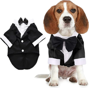 A small dog wearing a black tuxedo-style pet costume with white shirt details and a black bow tie, shown next to a flat product view of the costume on a white background.