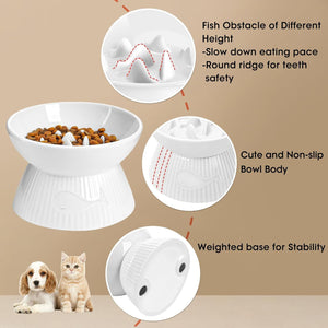 Pet feeding bowl with features highlighted on a beige background at Pet Servo