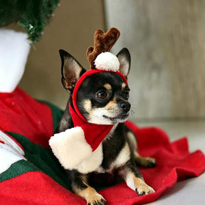 NAMSAN - Pet Reindeer Costume with Red Scarf for Christmas New Year Party at Pet Servo