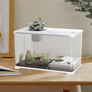 Small terrarium with plants and rocks on a wooden surface at Pet Servo