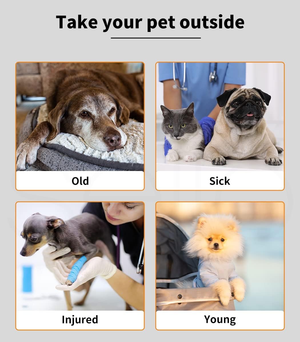 A pet safety awareness graphic with the headline 'Take your pet outside' on a light gray background. Four photo panels below show pets labeled 'Old,' 'Sick,' 'Injured,' and 'Young,' each with a veterinarian or handler visible in one or more panels at Pet Servo