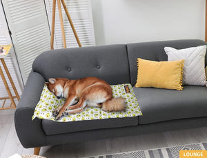 Buy PaWz Gel Non-Toxic Pet Bed Pillow Sofa Self-Cooling mat at Pet Servo