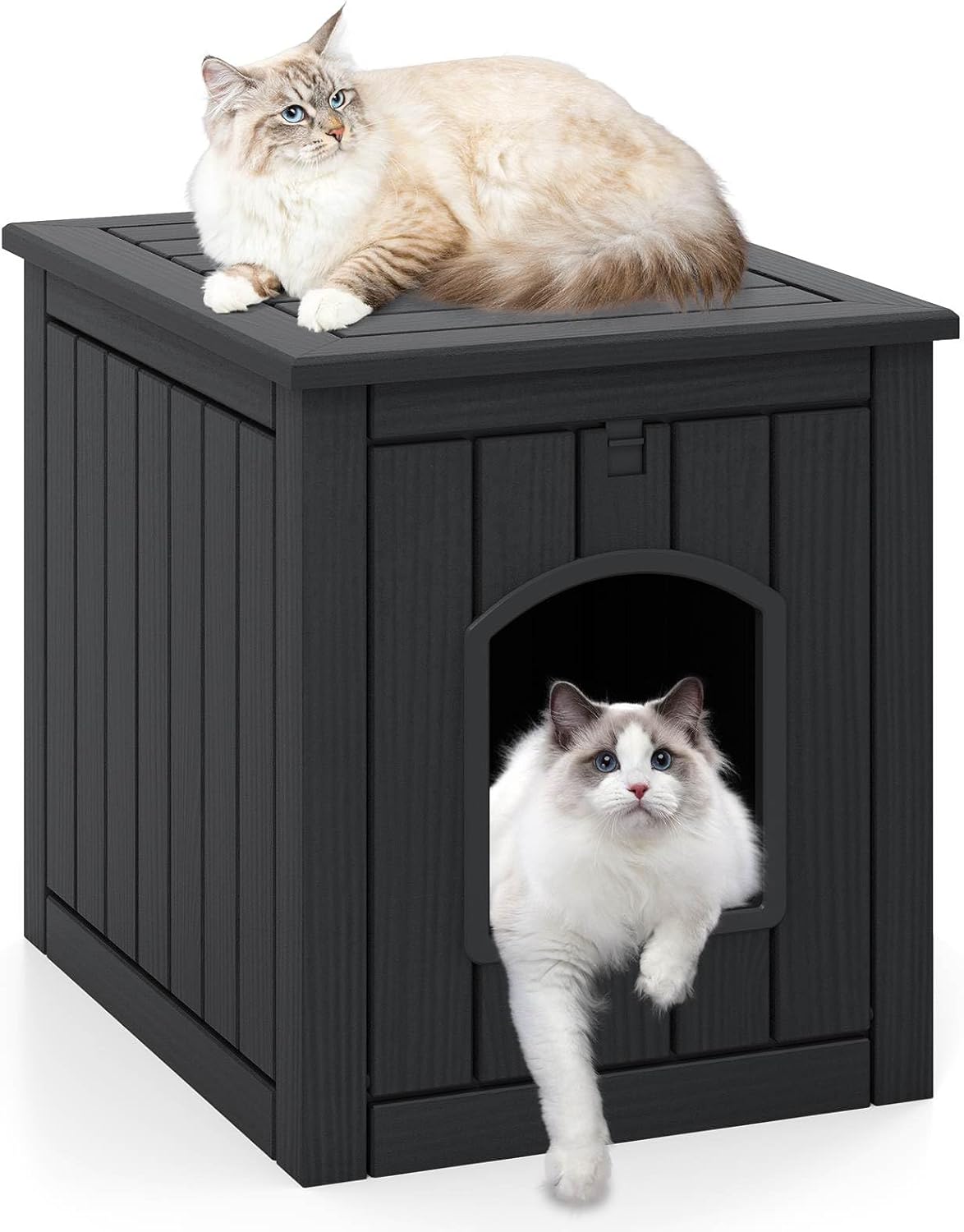 Black wooden pet house with two cats, one inside and one on top at Pet Servo
