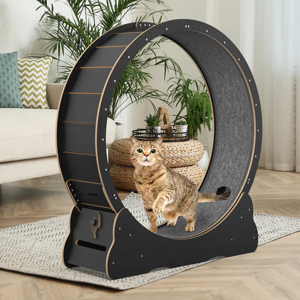 Advwin - Cat Exercise Wheel Treadmill Scratcher Board