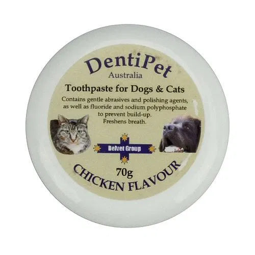 Dentipet Australia toothpaste for dogs and cats with chicken flavor on a white background