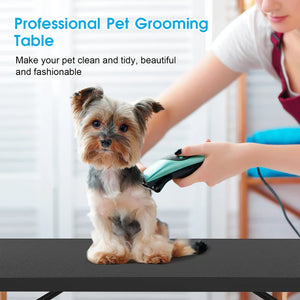Dog being groomed on a professional pet grooming table with a person using a grooming tool.