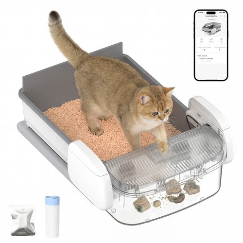 A cat stands inside a smart litter box filled with peach-colored litter. The litter box is white and gray with a transparent front lid, shown on a clean white background at Pet Servo