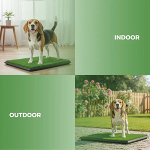 A dog training mat shown in two lifestyle settings: indoors with a beagle standing on the mat in a bright room, and outdoors in a garden with the same beagle standing on the mat. The image is split into four green-tinted quadrants with the words 'INDOOR' and 'OUTDOOR' in white at Pet Servo