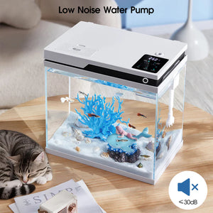 Small aquarium with a low noise water pump on a wooden table, featuring a cat nearby.