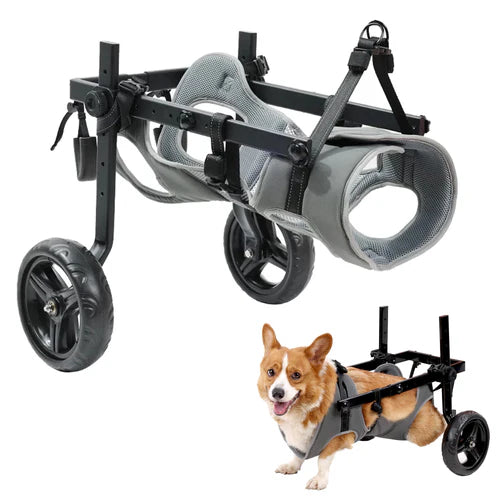 Dog wheelchair with a small dog sitting on it against a white background at Pet Servo