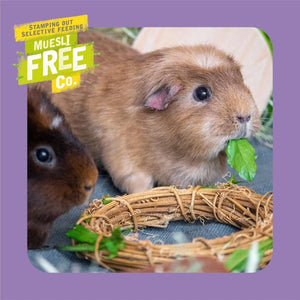 Burgess Excel Guinea Pig Pellets 1.5kg_Blackcurant & Oregano_PetServo-5