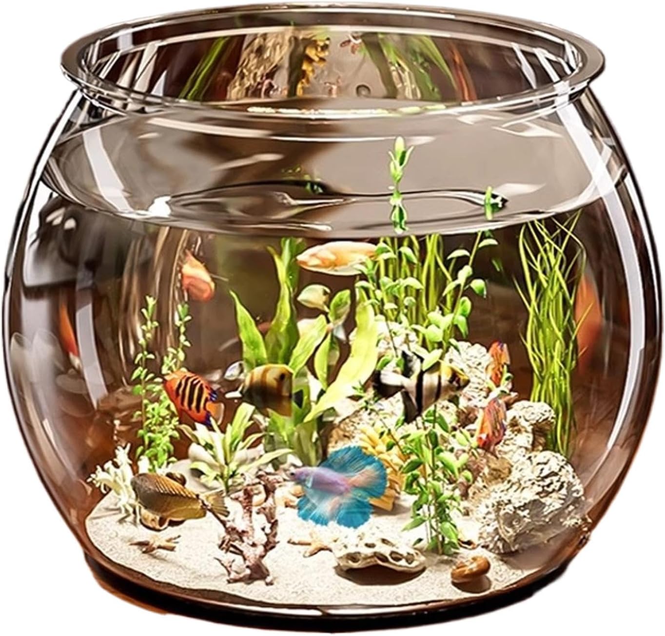 Small fish tank with fish and plants on a white background at Pet Servo