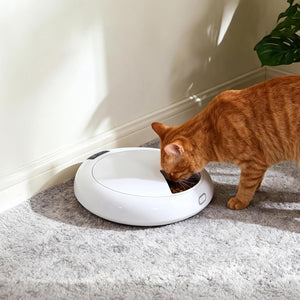 An orange tabby cat drinking water from a white robotic pet water fountain on a gray carpeted floor next to a cream wall at Pet Servo