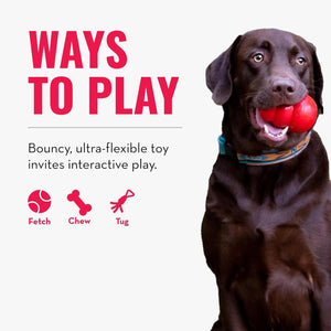 Dog playing with a red toy, promotional text for ways to play with a bouncy toy at Pet Servo