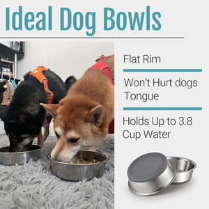 Two dogs eating from metal bowls with text about ideal dog bowls on a white background at Pet Servo