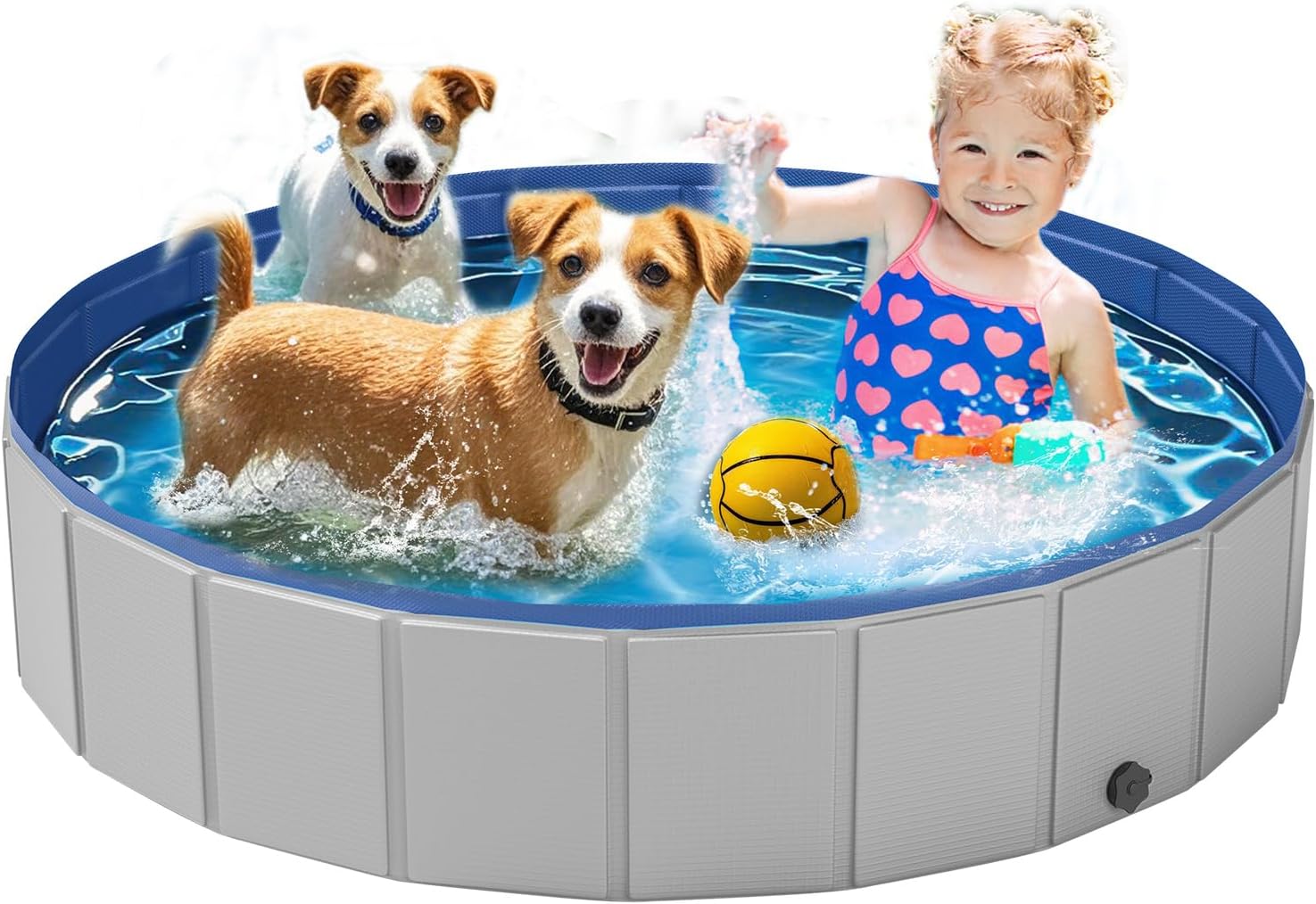 Two dogs and a child playing in an inflatable pool with toys at Pet Servo