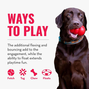 Dog playing with a red ball, promotional text about ways to play, and icons for fetch, tug, chew, and float at Pet Servo