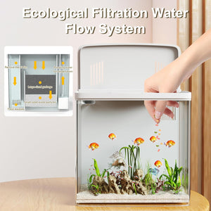 Aquarium with ecological filtration water flow system and hand adding fish at Pet Servo