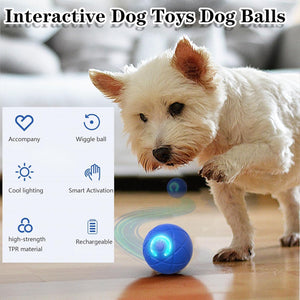 Dog playing with a blue interactive toy ball on a wooden floor at Pet Servo