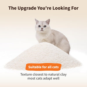 Cat sitting on a pile of cat litter with text about suitability for all cats and natural clay texture at Pet Servo