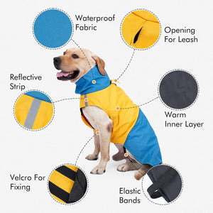 ODSSDAPU - Blue/Yellow Windproof Dog Coat - Petservo