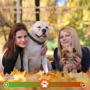 Two women with a large dog and a small dog in an outdoor setting with text about customizable vibration and shock.
