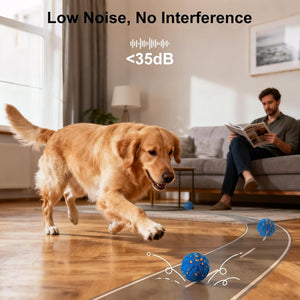 Dog running on a mat with a man reading a book in the background, emphasizing low noise and interference at Pet Servo