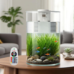 Small cylindrical aquarium with plants and fish on a table in a living room setting.