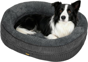 Dog lying on a gray pet bed with a white background at Pet Servo