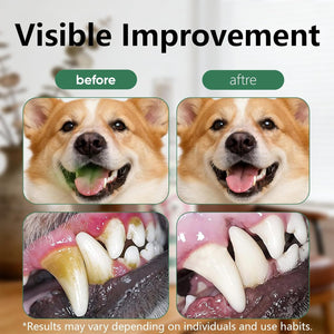 Before and after dental improvement of a dog's teeth with visible results at Pet Servo