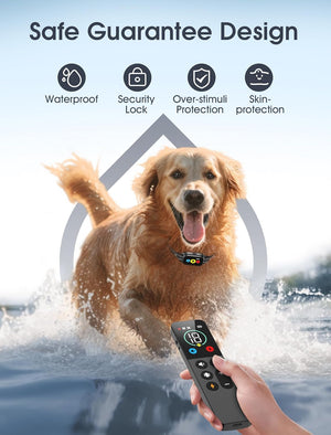 Dog running in water with a remote control, featuring safety features on a blue background at Pet Servo