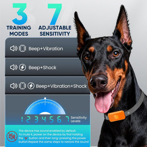 Dog wearing a training collar with adjustable sensitivity settings displayed on a gray background at Pet Servo