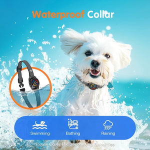 Dog wearing a waterproof collar with water splashes and text indicating its use for swimming, bathing, and raining at Pet Servo